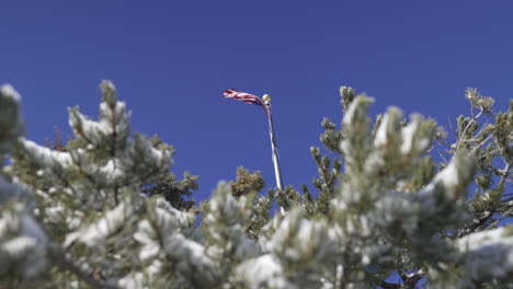 American-national-flag-waving-proudly-above-the-snow-covered-pine-trees-high-in-the-sky---America,-United-States,-patriotism,-freedom,-pride,-democracy,-soldiers,-military,-sacrifice,-honor
