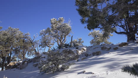 Desert-winter-landscape,-snowfall-on-a-hill,-winter-wonderland,-Christmas-landscape