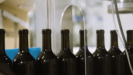 Wine-bottles-move-along-a-conveyor-belt-in-a-production-line-setting