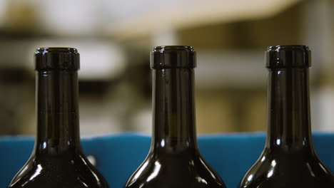 Wine-bottles-travelling-through-the-bottling-stage-in-a-factory