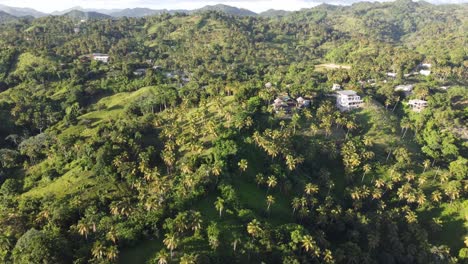 Vista-Aérea-De-La-Verde-Cordillera-Del-Monte-Rojo-Sobre-La-Bahía-De-Samaná-En-La-República-Dominicana