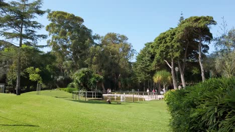 Marechal-Carmona-Park-in-autumn-with-people-walking-by-on-a-sunny-day,-Cascais,-Portugal