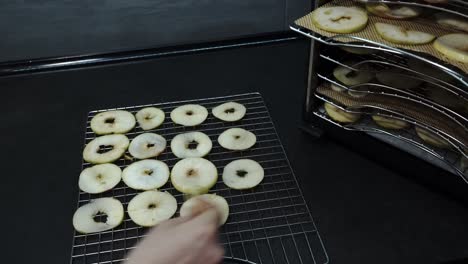 Nahaufnahme-Eines-Obstdörrgeräts-Für-Zu-Hause:-Anordnen-Frischer-Apfelscheiben-In-Der-Küche