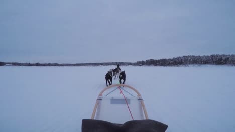 POV-Einer-Passagierfahrt-Auf-Einem-Hundeschlitten-über-Einen-Verschneiten,-Zugefrorenen-See