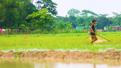 Young-Boy-Holding-Traditional-Fishing-Net-Walking-Across-Wetland-In-Sylhet,-Bangladesh