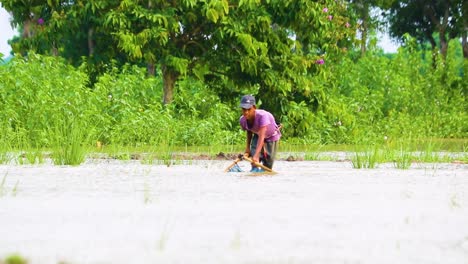 Young-Asian-Boy-Catching-Fish-In-Wetland-With-Traditional-Net-Fishing-In-Bangladesh