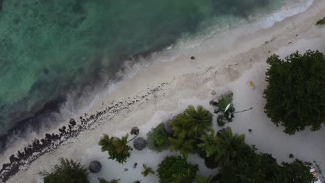 Luftaufnahme-Des-Wunderschönen-Strandes-La-Playita-In-Galeras-Auf-Der-Halbinsel-Samaná-In-Der-Dominikanischen-Republik