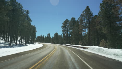 Driving-through-the-snowy-forest-POV-shot-of-road-and-pine-trees-on-a-sunny-afternoon