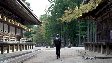 Solo-Male-Wearing-Backpack-Walking-Along-Path-Looking-At-Row-Of-Hanging-Golden-Lanterns-At-Koyasan