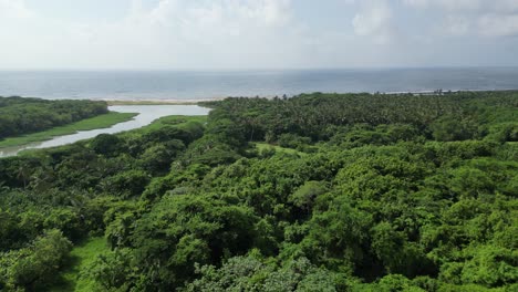 Flug-über-Die-üppige-Vegetation-Von-Boca-De-Nigua-In-Der-Nähe-Von-San-Cristobal-In-Richtung-Strand