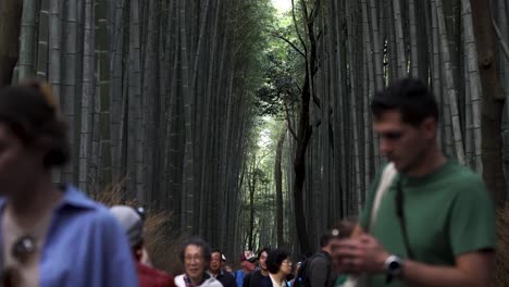 Tourists-Seen-Walking-Along-Arashiyama-Bamboo-Grove-Path-With-Background-Focus-On-Bamboo-Shoots
