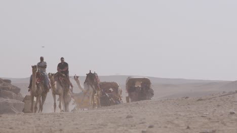 Carruajes-De-Caballos-Y-Camellos-Que-Transportan-Turistas-Pasan-Por-El-Camino-De-Tierra,-Los-Animales-Los-Utilizan-Como-Transporte,-El-Cairo,-Egipto