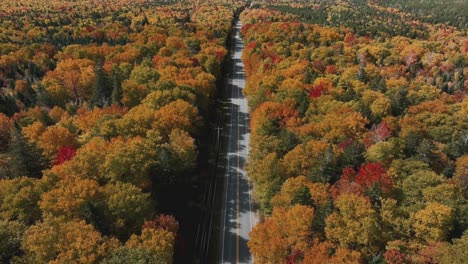 Empty-Road-Amid-The-Colorful-Trees-With-Fall-Foliage