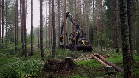 Forestry-harvester-timber-harvesting-in-finnish-forest,-shot-with-Sony-FX3
