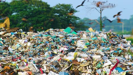Riesige-Vogelschwärme-Kreisen-über-Den-Müllbergen-Auf-Einer-Mülldeponie-In-Bangladesch