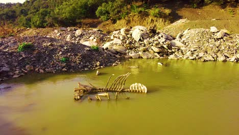 a-skeleton-carcase-of-a-dead-horse-in-a-small-lake-at-the-top-of-the-mountain