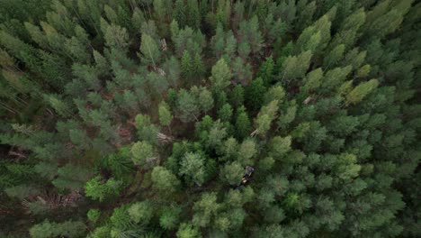 Aerial-shot-of-Scandinavian-finnish-forest-from-above-and-forestry-machine-Ponsse-Scorpion-harvester,-shot-with-DJI-Air-2s