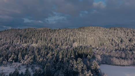 Volando-Sobre-El-Denso-Bosque-Cubierto-De-Nieve-En-La-Montaña-Durante-El-Invierno-En-Noruega