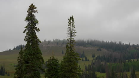 Nubes-Y-Niebla-Moviéndose-Sobre-Las-Colinas-Y-Los-árboles.