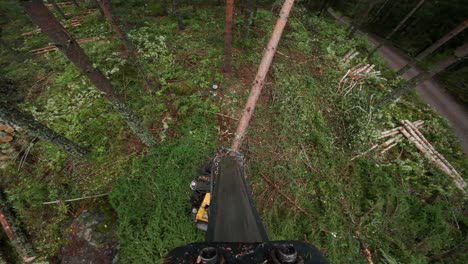 POV-Boom-shot-from-Harvester-working-in-nordic-woods,-shot-with-DJI-Osmo-Action-4