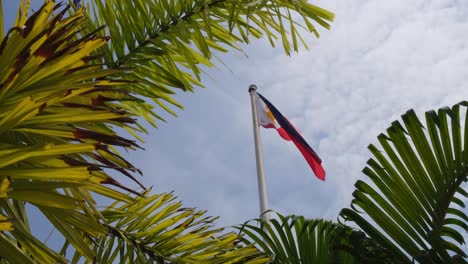 Wunderschöne-Blaue-Und-Rote-Flagge-Der-Philippinen,-Gesehen-Durch-Palmenzweige,-Während-Der-Himmel-Bewölkt-Ist