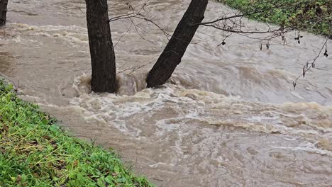 Massive-water-masses-in-anger-The-raging-river-after-heavy-rain