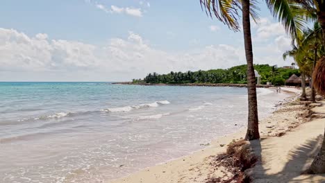 Trs-Beach-Resort-En-Tulum-Cancún-México-Toma-Estática-Con-Algunas-Palmeras-Meciéndose-En-El-Viento
