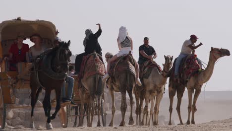 Transport-Mit-Pferdekutsche-Und-Kamelen,-Um-Historische-Orte-Zu-Besuchen-Und-In-Ägypten-Zu-Reisen,-Die-Pyramiden-Zu-Besichtigen