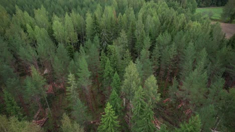 Luftaufnahme-Des-Skandinavischen-Finnischen-Waldes-Und-Der-Forstmaschine-Ponsse-Scorpion-Harvester-Aus-Der-Luft,-Gefilmt-Mit-DJI-Air-2S