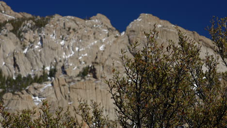 Rocky-Mountain-With-Trees-In-The-Foreground