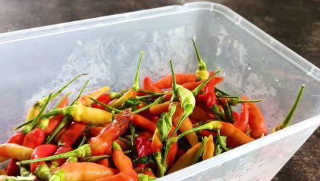 chilies-in-a-plastic-container