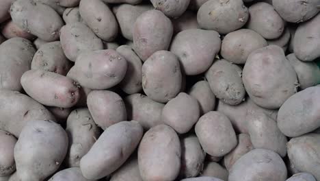 Süßkartoffel-Im-Gemüseladen-Zu-Verkaufen
