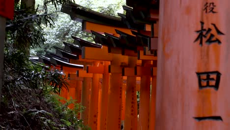 Blick-Außerhalb-Der-Reihe-Leuchtend-Roter-Torii-Tore-Mit-Kanji-Schrift-Bei-Fushimi-Inari-Taisha