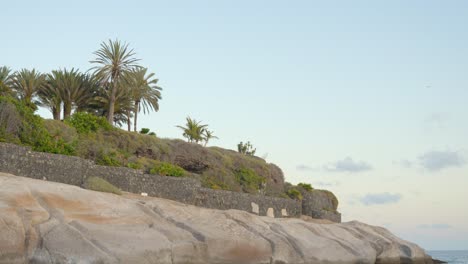 Stone-coastline-of-Tenerife-with-rock-wall-on-top-and-palm-trees,-tilt-up-view