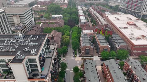 Stadtlandschaft-Mit-Hochhäusern-Und-Von-Bäumen-Gesäumten-Straßen