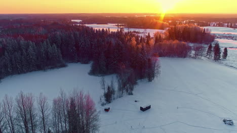 Wintersonnenuntergang-über-Einer-Wunderschönen-Schneeszene-Mit-Waldbäumen-In-Lettland,-Europa