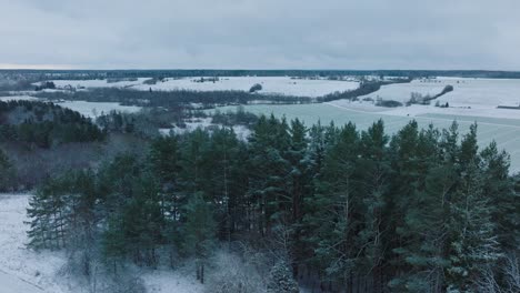 Aerial-establishing-view-of-valley-of-the-Abava-river-on-overcast-winter-day,-fields-covered-in-snow,-Abava-river-filled-with-dark-flood-water,-wide-drone-revealing-shot-moving-forward