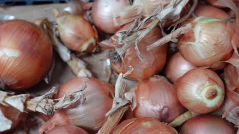 whole-yellow-onions-at-the-Market