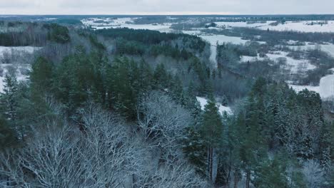 Aerial-establishing-view-of-valley-of-the-Abava-river-on-overcast-winter-day,-fields-covered-in-snow,-Abava-river-filled-with-dark-flood-water,-wide-drone-shot-moving-forward,-parallax-effect