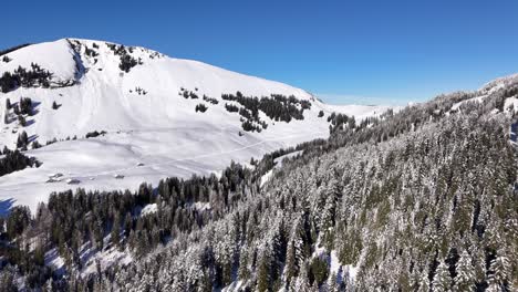 Aerial-beautiful-mountain-landscape-forest-covered-in-snow-in-Amden-Switzerland