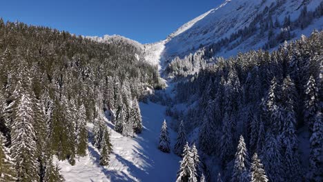 Sobrevuelo-Aéreo-De-Los-Nevados-Alpes-Suizos-En-Amden-Durante-El-Día-Soleado-Con-Cielo-Azul-Y-árboles-De-Coníferas,-Suiza
