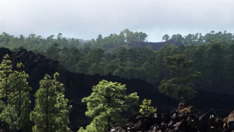 Malerische-Landschaft-Im-Teide-Nationalpark-Auf-Teneriffa-Auf-Den-Kanarischen-Inseln-Spaniens,-Vulkanische-Natur,-Grüne-Bäume,-Langsam-Tiefziehende-Wolken-über-Den-Bergen,-Sonniger-Tag,-Weitwinkelaufnahme