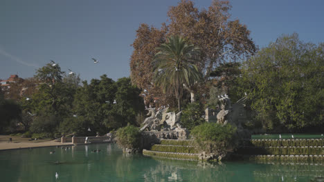 Gelassenheit-In-Zeitlupe:-Vögel-Im-Ciutadella-Park,-Barcelona