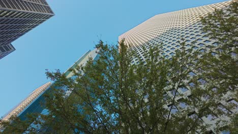 Wolkenkratzer-In-Der-Innenstadt-Von-Houston-Hinter-Baumblättern