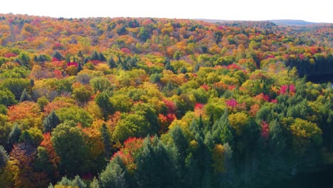 Atemberaubender-Blick-Auf-Das-Herbstlaub-Von-Oben-über-Der-Stadt-Montreal,-Quebec,-Kanada