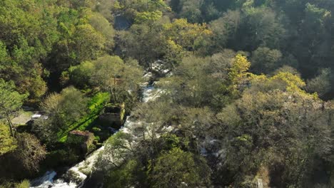 Cascadas-Entre-árboles-En-El-Bosque-Tropical-De-Montaña-En-Zas,-A-Coruña,-España