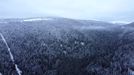 Aerial-winter-landscape-reveal-of-Hautes-Vosges-snow-capped-forests-slow-fly
