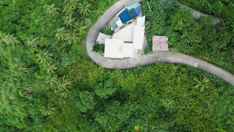 Top-down-aerial-view-of-serpentine-road-and-houses-in-tropical-rainforest-of-Baras,-Catanduanes-Island