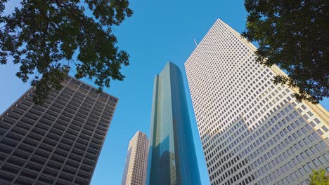 Reveal-of-skyscrapers-behind-tree-leaves-in-Downtown-Houston