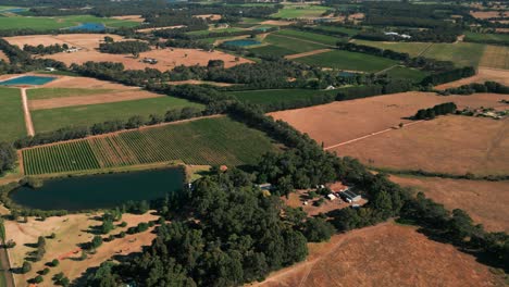 revealing-drone-shot-of-a-farm-and-a-vineyard-in-Margaret-River-wine-region-in-Western-Australia